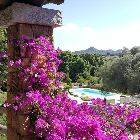 Agriturismo Desole Monti Eksteriør billede