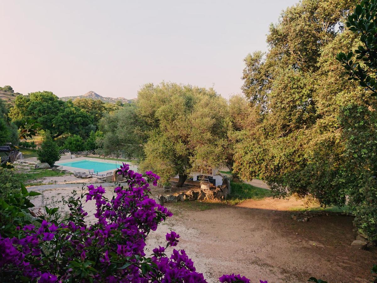 Agriturismo Desole Monti Eksteriør billede