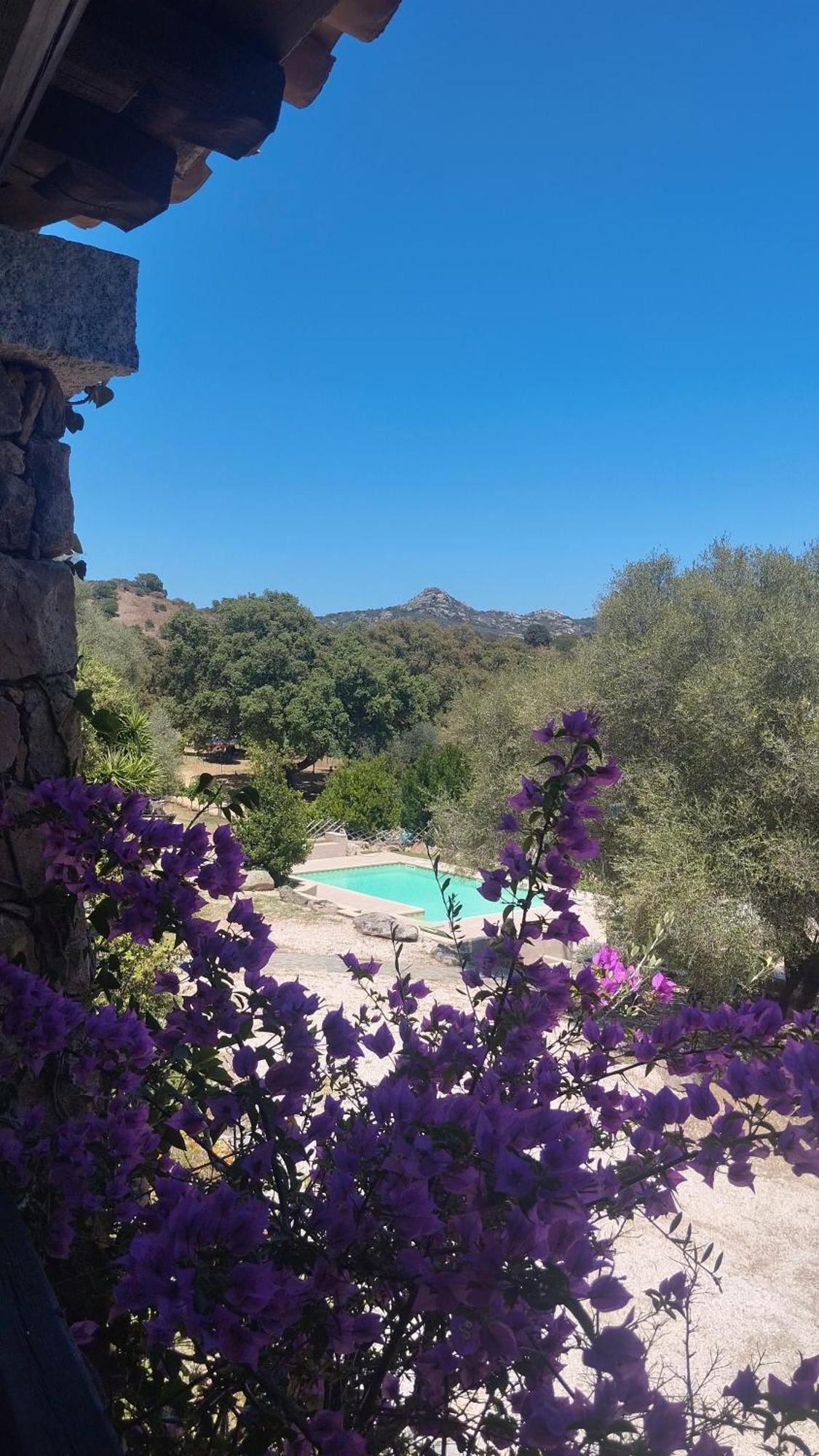 Agriturismo Desole Monti Eksteriør billede