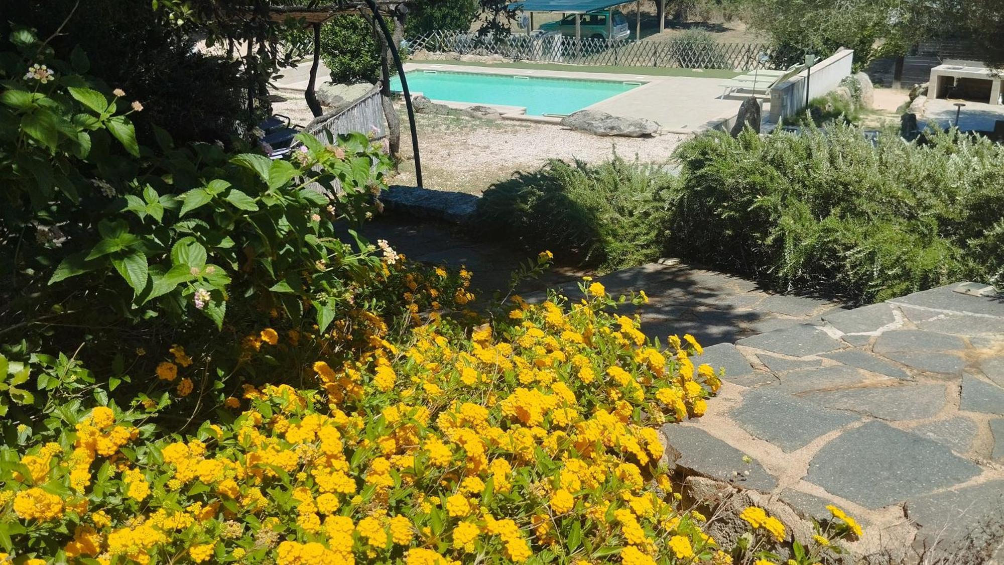 Agriturismo Desole Monti Eksteriør billede